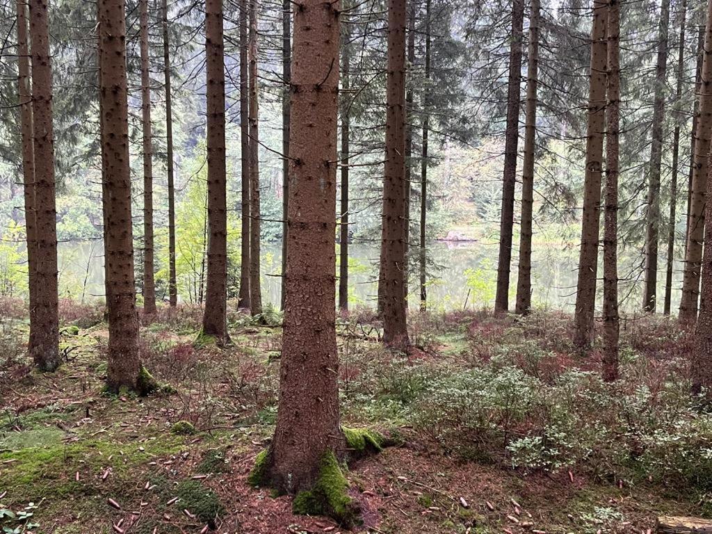 Gipfel Lounge Leilighet Goslar Eksteriør bilde